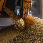 Economia do Brasil cresce 1,1% no primeiro trimestre de 2026