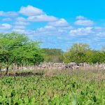 Semac monitora fenômeno El Niño e alerta sobre possíveis consequências em Sergipe