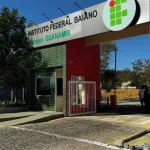 IF Baiano abre vagas para estágio em Psicologia no Campus Guanambi