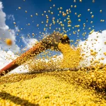 Brasil bate recorde: produção de grãos pode chegar a 358,6 mi de toneladas
