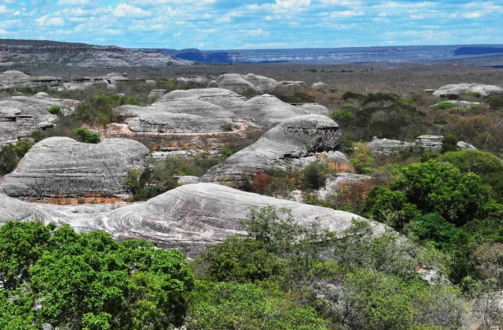 Caatinga ganha 92 mil hectares protegidos com decreto de Lula