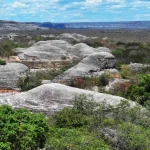 Caatinga ganha 92 mil hectares protegidos com decreto de Lula