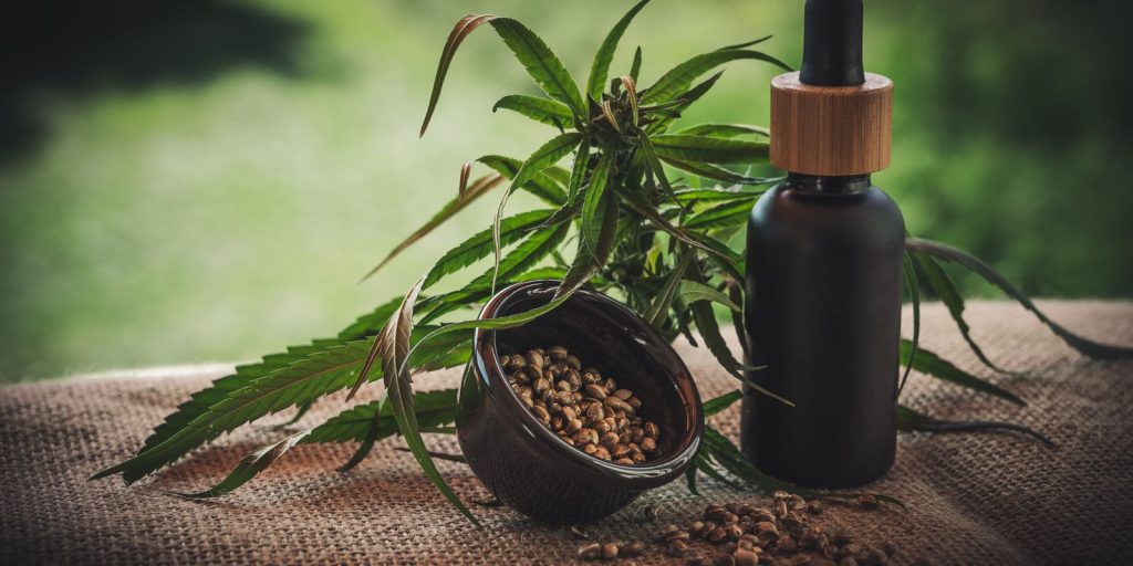 Cannabis medicinal alivia crises de autismo e muda vida de mães solos