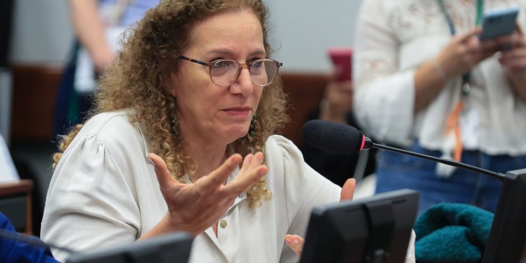 Deputados vão a Washington defender soberania e democracia do Brasil