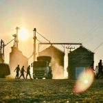 Empresa abre vagas no agro na Bahia e SP com oportunidades para sertanejos
