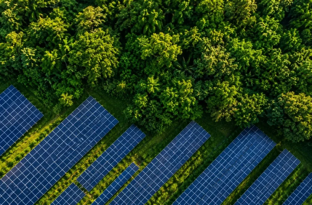 Empresa de energia solar abre vagas na Bahia e outros estados
