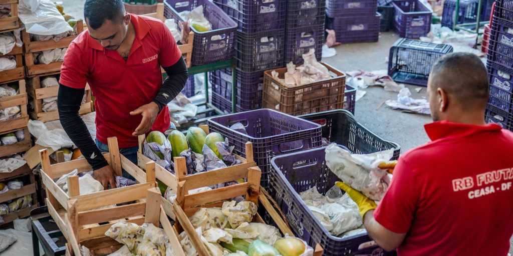 Governo destina R$ 97,3 bilhões para agricultores familiares no Plano Safra 2026/2027