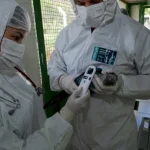 ICMBio nega boatos sobre eutanásia em ararinhas-azuis na Bahia