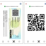 Identidade digital no celular: veja como ativar pelo GOV.BR