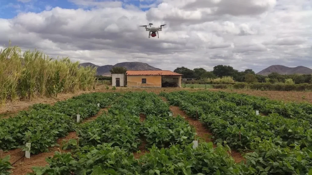 IF Baiano inova com drones para agricultura e monitoramento ambiental em Guanambi