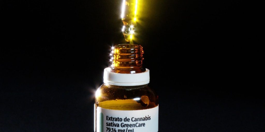 Musculação lidera práticas físicas entre usuários de cannabis medicinal