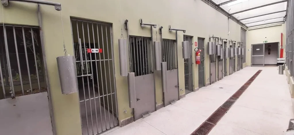 Novo Centro de Triagem de Animais Silvestres será inaugurado em Barreiras