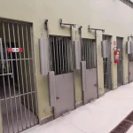 Novo Centro de Triagem de Animais Silvestres será inaugurado em Barreiras