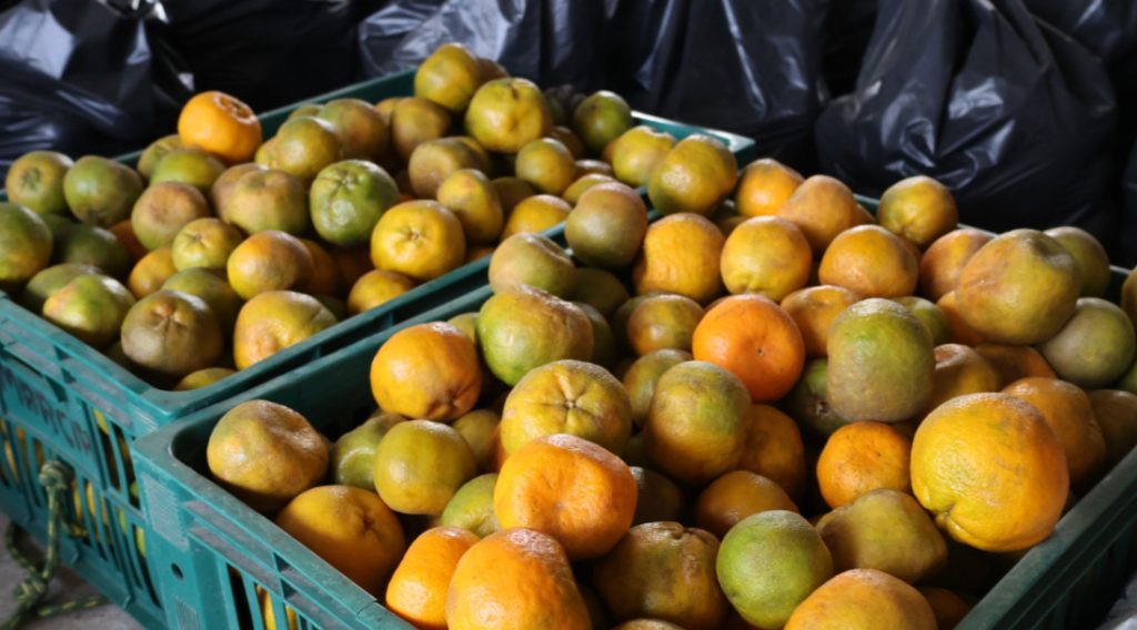PAA Estadual distribui mais de 14 toneladas de alimentos em Santana do São Francisco