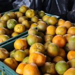 PAA Estadual distribui mais de 14 toneladas de alimentos em Santana do São Francisco