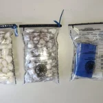 PM apreende 2,2 kg de drogas após denúncia de moradores na Bahia