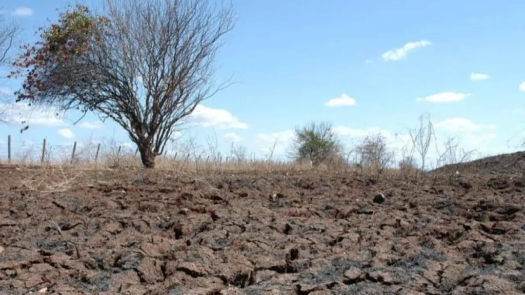 Seca e enchentes: 13 cidades ganham amparo federal para emergências