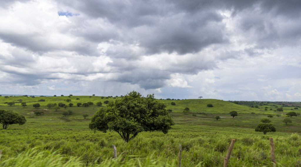 Semana começa com céu nublado e chuva fraca em Sergipe
