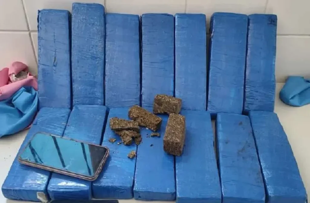 TOR apreende 14,5 kg de maconha em ônibus interestadual na BR-030