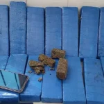 TOR apreende 14,5 kg de maconha em ônibus interestadual na BR-030
