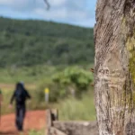 Trilhas do sertão podem virar rota turística com novo decreto federal