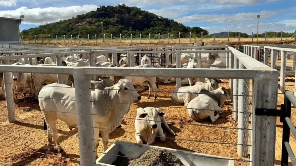 Adab exige solicitação com 30 dias de antecedência para eventos com animais na Bahia