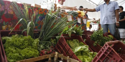 Decreto adia exigência de CNPJ para autônomos e produtores por 6 meses