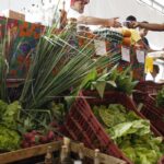 Decreto prorroga exigência de CNPJ para autônomos e produtores rurais