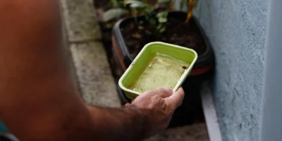El Niño pode disparar casos de dengue e chikungunya neste ano