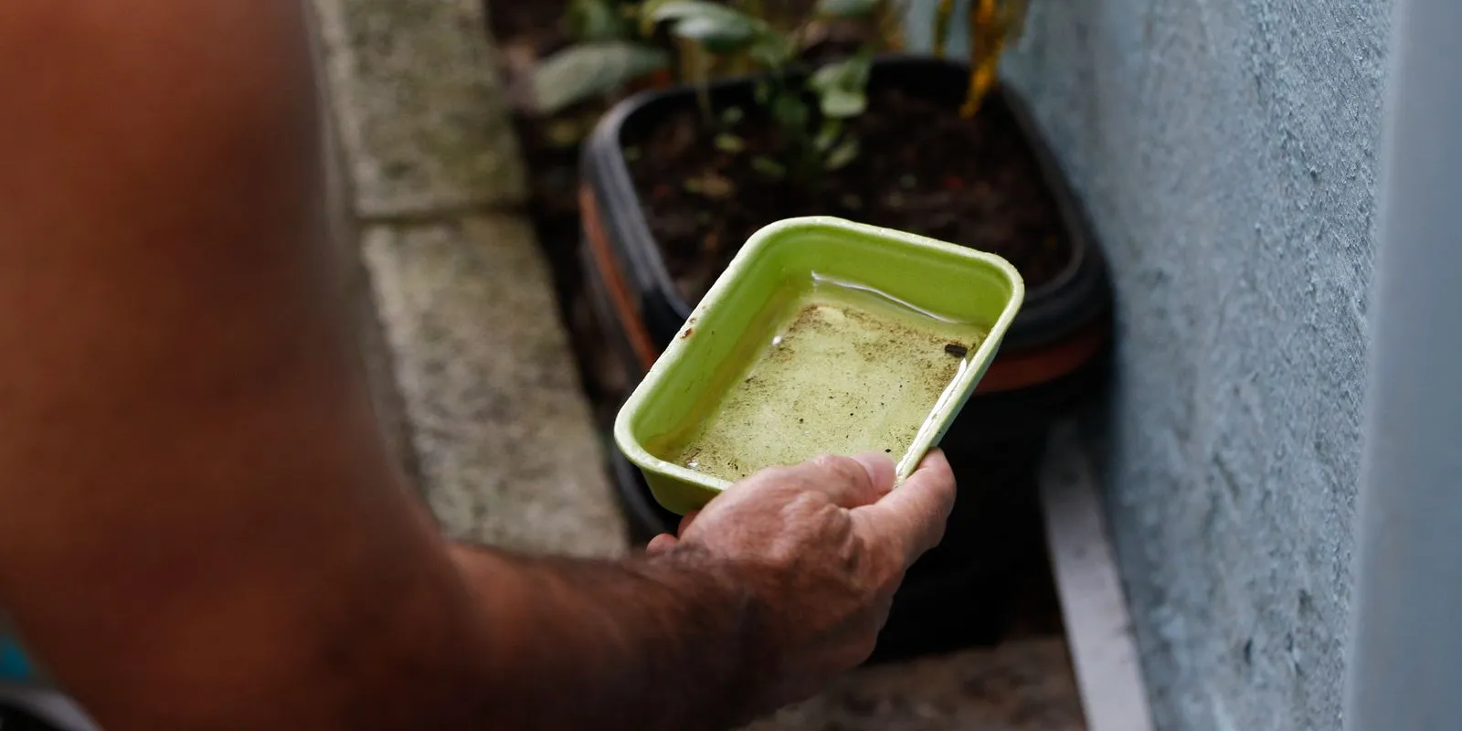 El Niño pode disparar casos de dengue e chikungunya neste ano