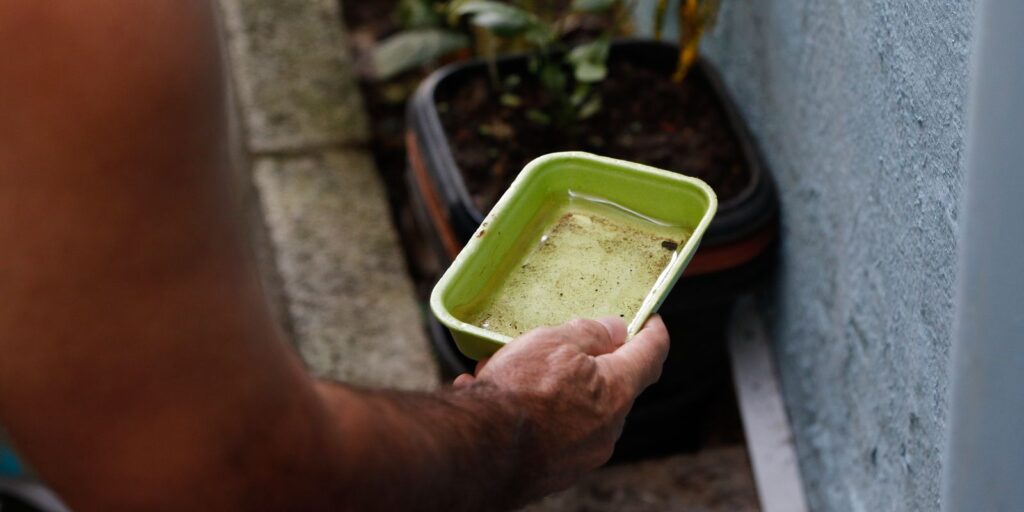 Ministério alerta: El Niño pode aumentar dengue e chikungunya em 2027