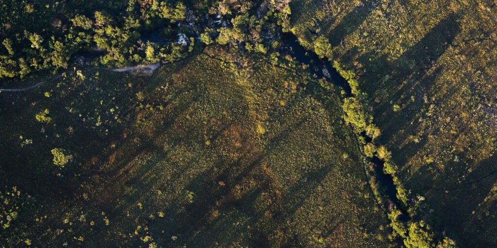 Produtores rurais terão juros mais baixos para projetos sustentáveis em 2026/2027