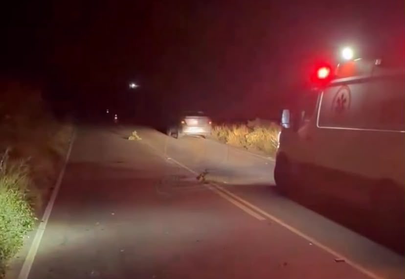 Acidente na rodovia: motociclista colide com animal e não resiste