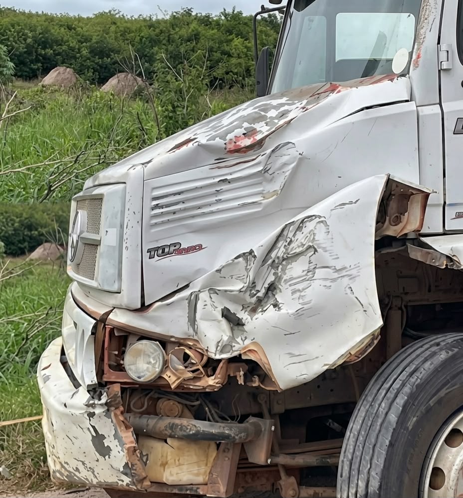 Caçamba tomba ao atingir animal na estrada de Poço Redondo