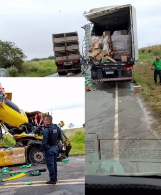 Colisão entre carretas fere suínos e mistura cargas na rodovia do Sertão