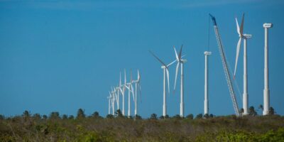 Futuros Verdes mapeia oportunidades para economia de baixo carbono no Nordeste