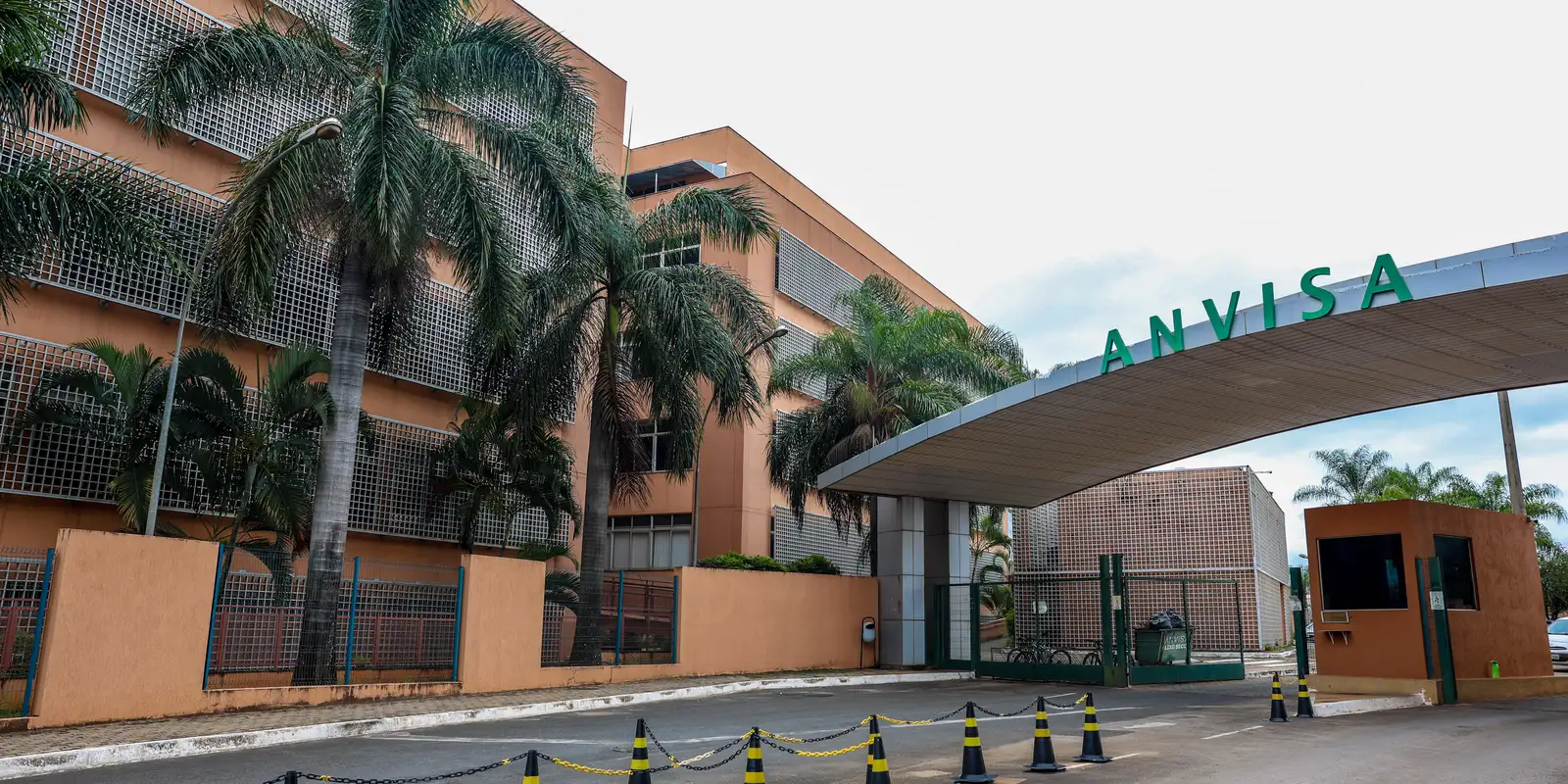 Anvisa: carbidopa/levodopa pode causar deficiência de vitamina B6