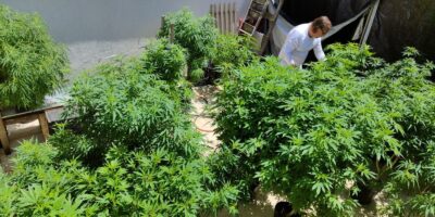 Fortaleza: Feira convoca voto por políticas de drogas e justiça social