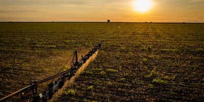 Nova lei amplia seguro rural e agiliza indenizações para produtores