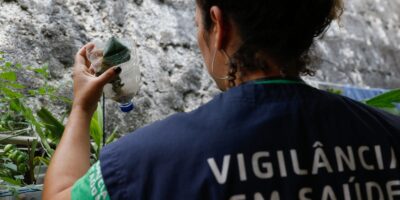São Paulo registra 58.683 casos de dengue e 42 óbitos